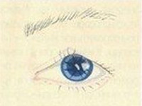 Тест по форме глаз: о чем может рассказать ваш взгляд