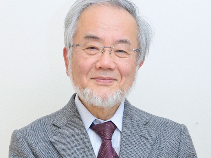 5 главных принципов здорового похудения от японского ученого