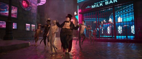 Тейлор Свифт и Идрис Эльба в первом трейлере экранизации знаменитого мюзикла «Кошки»