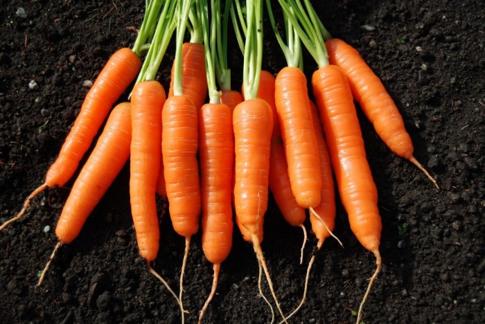 Коктейль «Морковь и имбирь» эликсир красоты и здоровья