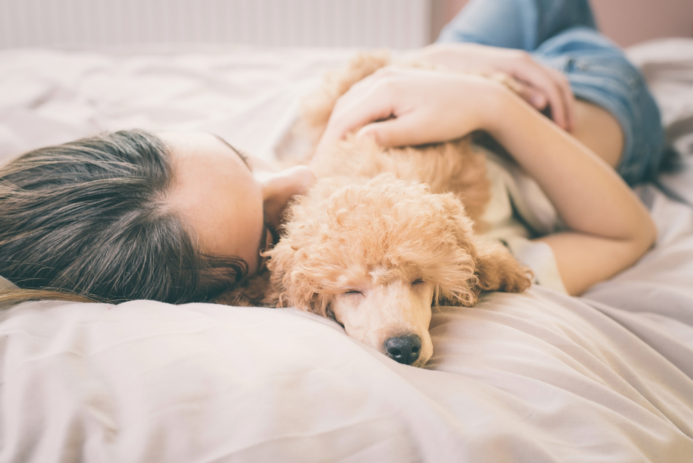 Учёные объяснили, почему полезно брать кота и собаку в постель