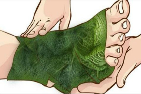 Удивительные результаты от обертывания ног листом капусты