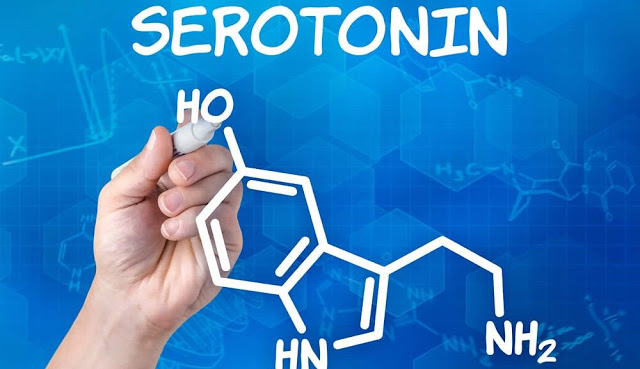 Избыток серотонина может быть очень вреден для организма
