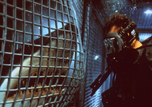 Warner Bros. принесла бойню акул на панель Comic-Con @ Home, посвященную фильму «Глубокое синее море 3»