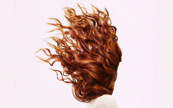 Как улучшить состояние волос: шесть правил от Аниты Луценко