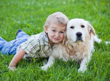 Положительное влияние домашних животных на детей