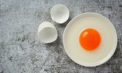 Яйца - источник богатого белка: 10 мифов, которые вас удивят